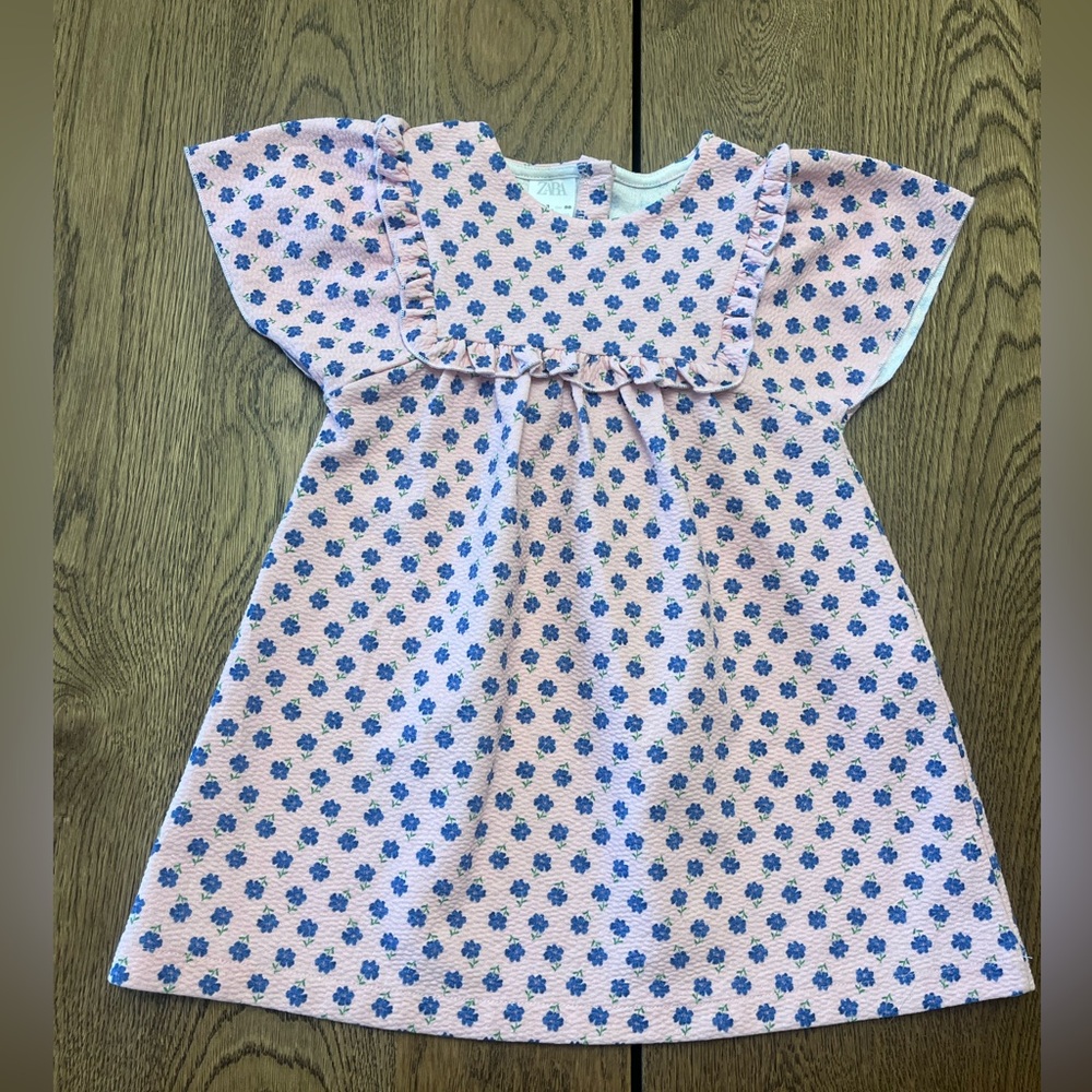 Zara Girl’s Pink Textured Dress with Blue Floral Print